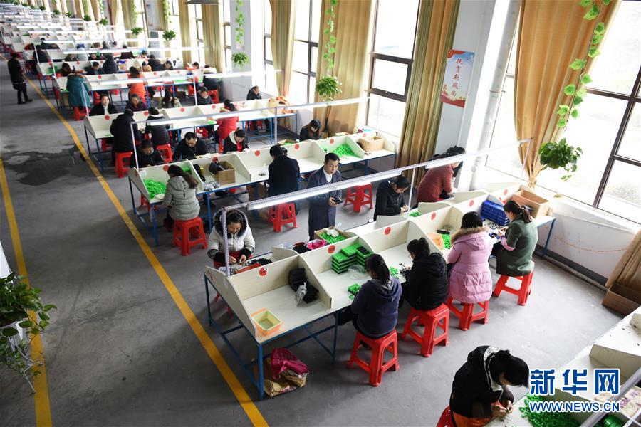 （在習(xí)近平新時(shí)代中國(guó)特色社會(huì)主義思想指引下——新時(shí)代新作為新篇章·圖文互動(dòng)）（5）“搬遷到哪里，服務(wù)就延伸到哪里”——貴州推進(jìn)易地扶貧搬遷“后半篇文章” 