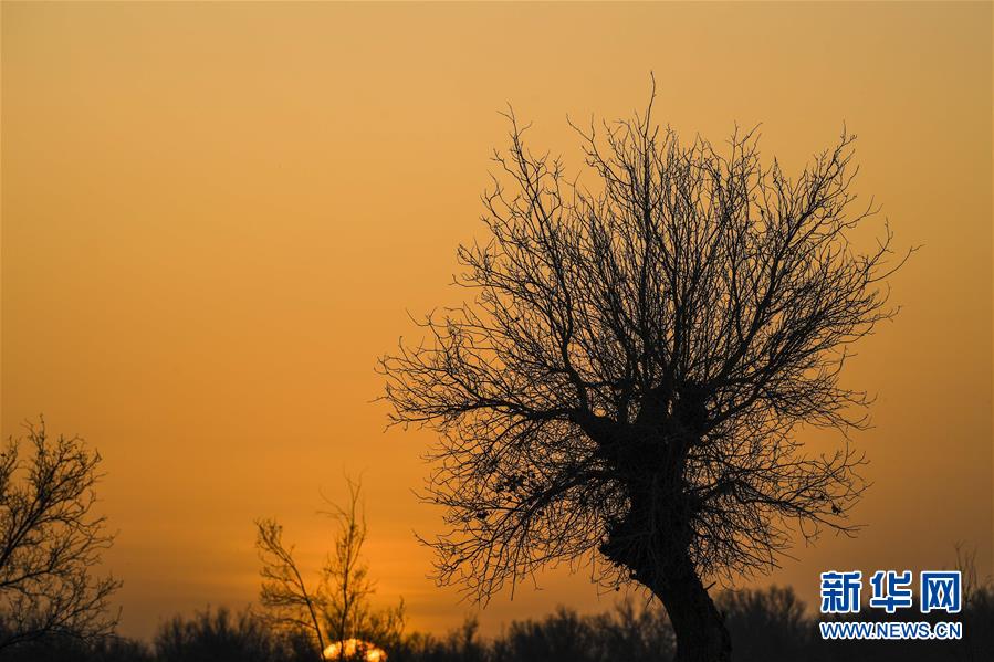 （新華全媒頭條·圖文互動）（2）一步千年，“最后的沙漠部落”遷入新家園