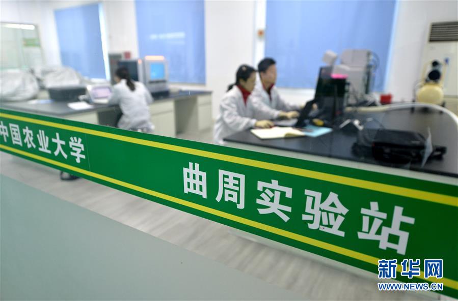 （愛國情 奮斗者·圖文互動）（3） “解民生之多艱，育天下之英才”——中國農(nóng)大師生扎根田野書寫奉獻之歌