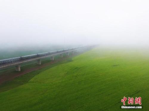 資料圖：動車組穿越雨霧中的油菜花海宛若穿越時空。 楊艷敏 攝