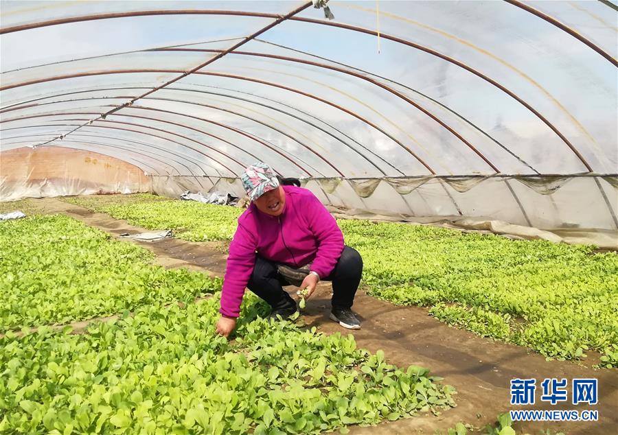 （在習近平新時代中國特色社會主義思想指引下——新時代新作為新篇章·圖文互動）（3）“黑三星村”緣何變成示范村？——東北一小村莊的脫貧振興路 