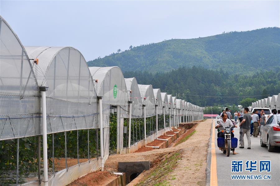 (新華全媒頭條·圖文互動(dòng))(6)奮力走好新時(shí)代的長征路——習(xí)近平總書記考察江西回訪記