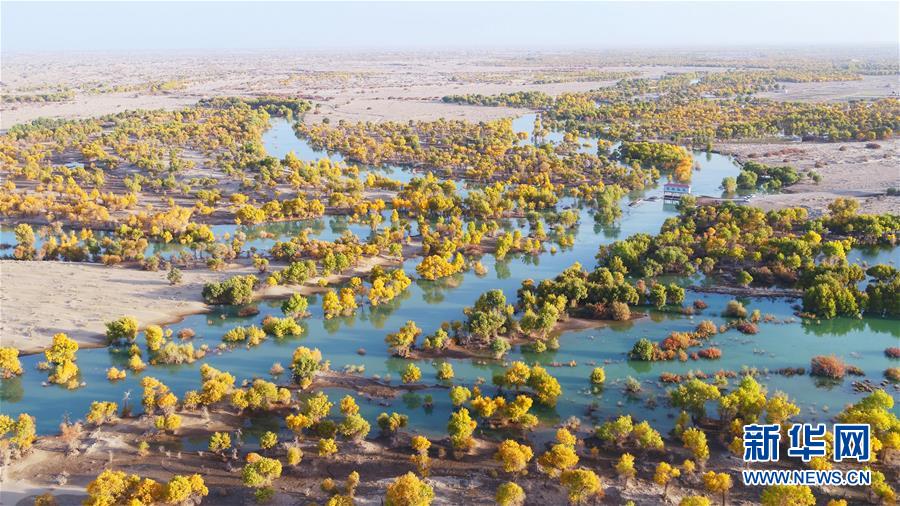 (新華全媒頭條·圖文互動(dòng))(4)大河歸來