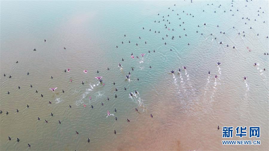 (新華全媒頭條·圖文互動(dòng))(6)大河歸來