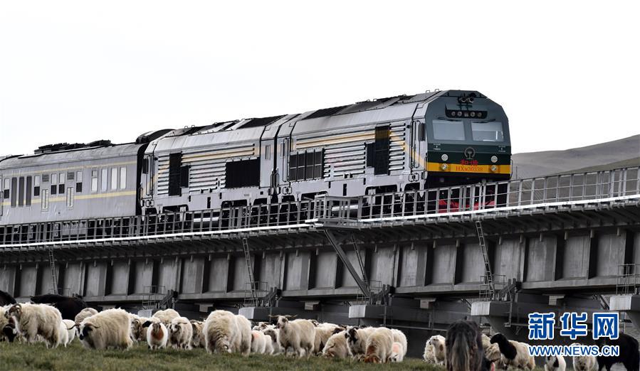 (新華全媒頭條·壯麗70年·奮斗新時(shí)代·圖文互動(dòng))(12)開拓雪域高原的夢想之路——來自青藏鐵路的蹲點(diǎn)報(bào)告