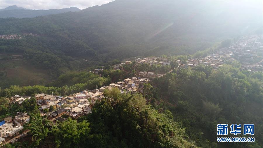 (直過民族脫貧攻堅(jiān)·圖文互動(dòng))(1)又見白鷴鳥