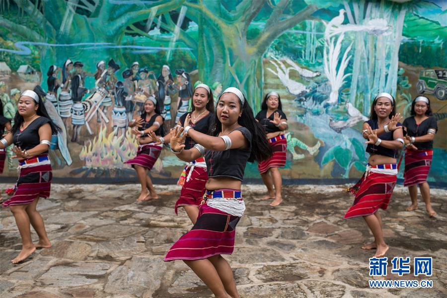 (直過民族脫貧攻堅(jiān)·圖文互動(dòng))(2)又見白鷴鳥