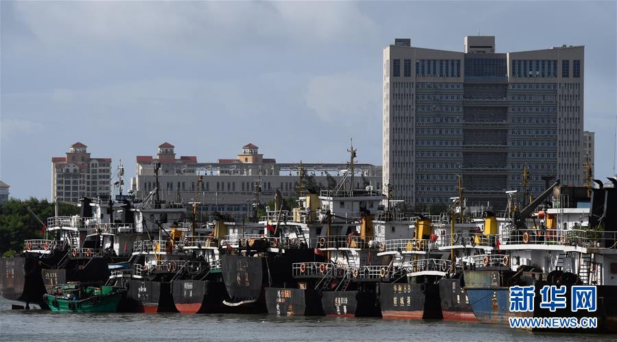 （社會）（1）?？冢捍盎馗郾芘_風(fēng)