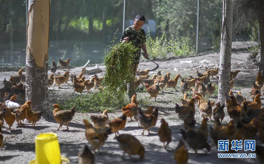 （新華全媒頭條·圖文互動(dòng)）（6）同心援疆，“壯闊”祖國(guó)西北角