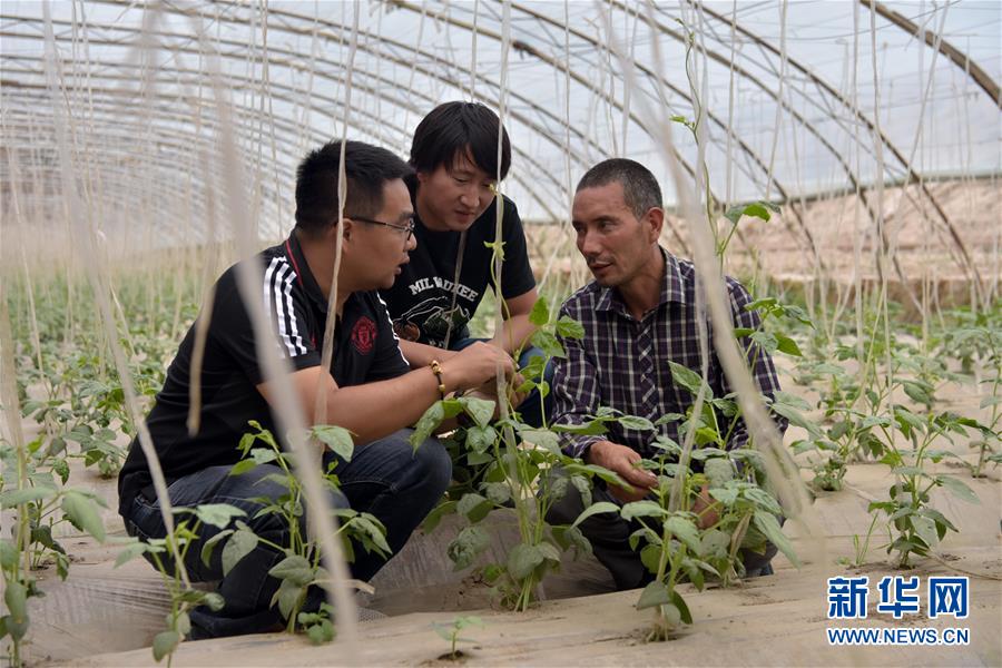 （新華全媒頭條·圖文互動(dòng)）（10）同心援疆，“壯闊”祖國(guó)西北角