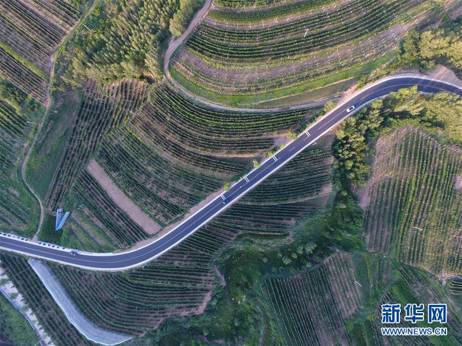 (新華全媒頭條·圖文互動)(5)心系北疆 情滿草原——習(xí)近平總書記考察內(nèi)蒙古回訪記