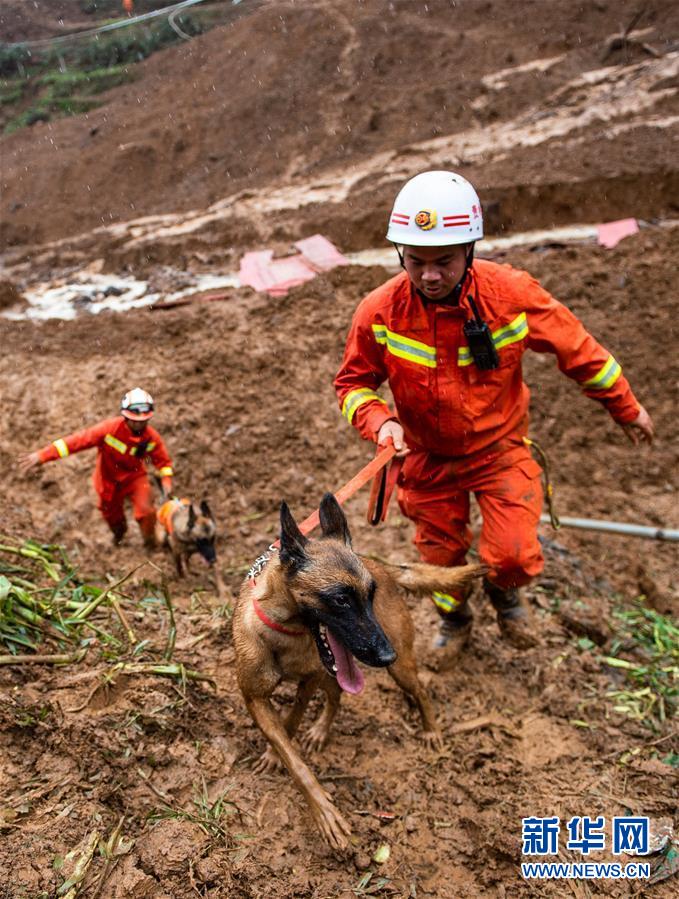 （新華全媒頭條·圖文互動）（4）有一絲希望，就盡百倍努力——貴州水城“7·23”特大山體滑坡72小時救援紀實