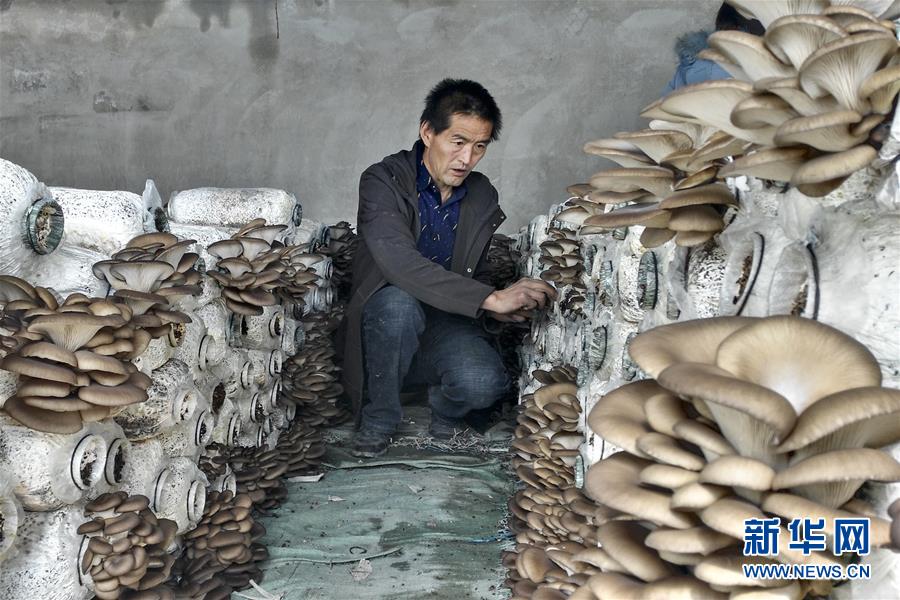 (脫貧攻堅·圖文互動)(3)東達(dá)村脫貧記