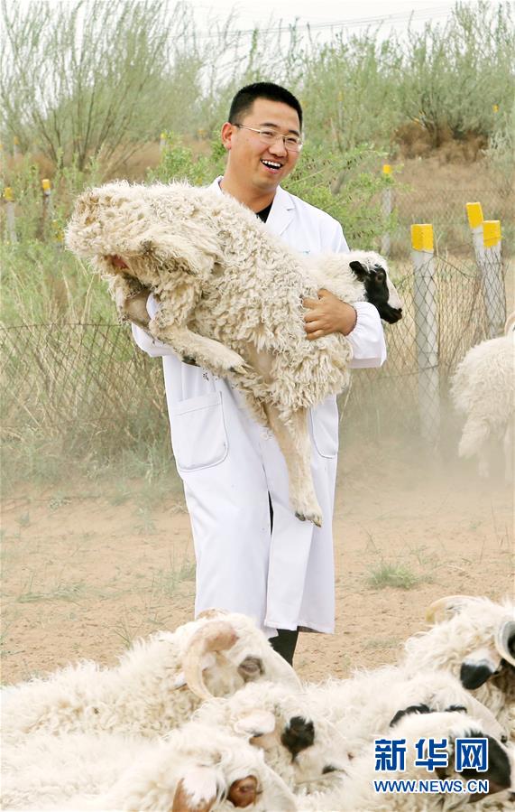 （壯麗70年·奮斗新時(shí)代——共和國發(fā)展成就巡禮·圖文互動(dòng)）（3）生態(tài)美、百姓富——品讀嶄新“寧夏畫卷”