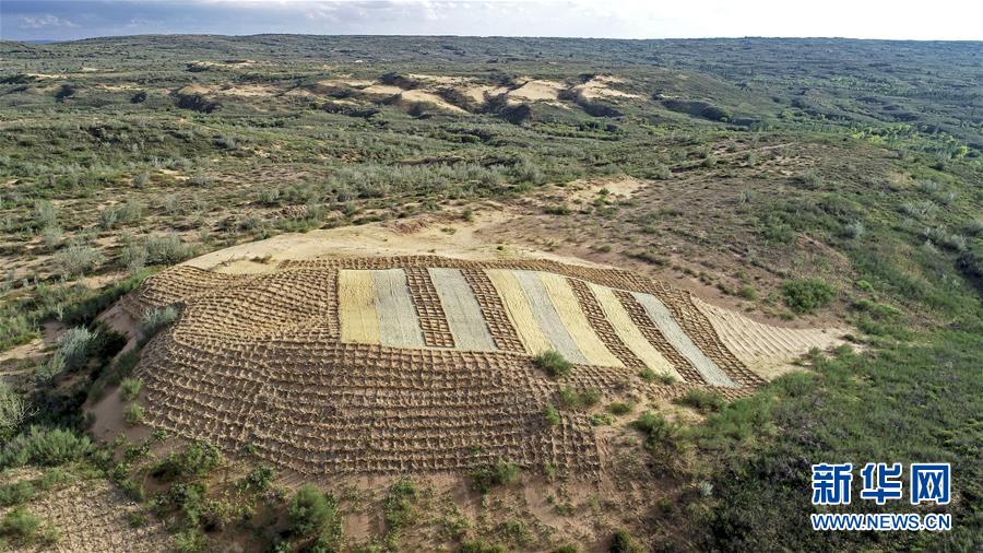 （壯麗70年·奮斗新時(shí)代——共和國發(fā)展成就巡禮·圖文互動(dòng)）（6）生態(tài)美、百姓富——品讀嶄新“寧夏畫卷”