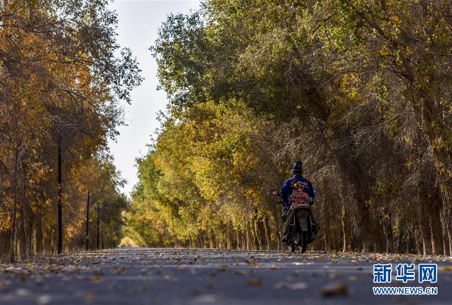(壯麗70年·奮斗新時代——共和國發(fā)展成就巡禮·圖文互動)(2)鑄劍為犁造綠洲 安邊固疆筑“長城”——新疆生產(chǎn)建設兵團維穩(wěn)戍邊改革發(fā)展紀實