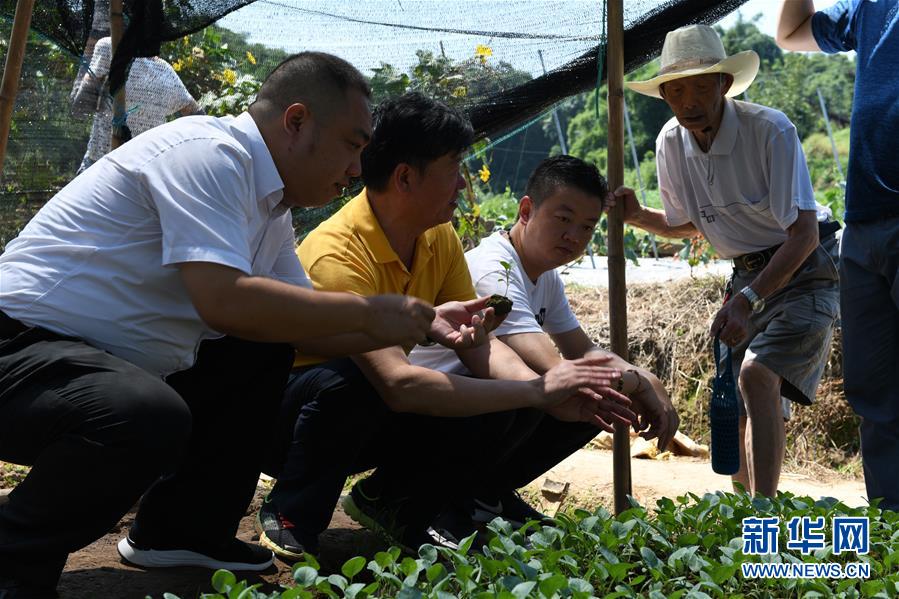 (圖文互動(dòng))(3)烏蒙山區(qū)扶貧第一書(shū)記背后的“老監(jiān)工”