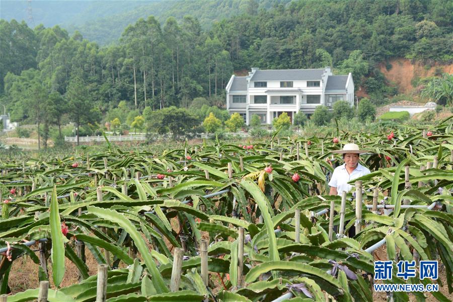 （在習(xí)近平新時代中國特色社會主義思想指引下——新時代新作為新篇章·總書記關(guān)心的百姓身邊事·圖文互動）（6）大污染變身“大寶藏”：治理畜禽糞污，他們這樣干！