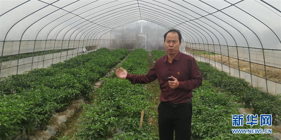 (圖文互動)(2)163份留任申請——記江西吉安163位主動留任的第一書記