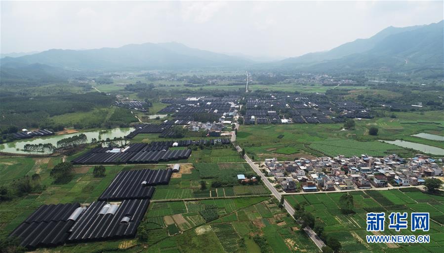 (在習(xí)近平新時(shí)代中國特色社會主義思想指引下——新時(shí)代新作為新篇章·總書記關(guān)心的百姓身邊事·圖文互動)(1)“科技秀才”給田野帶來新希望