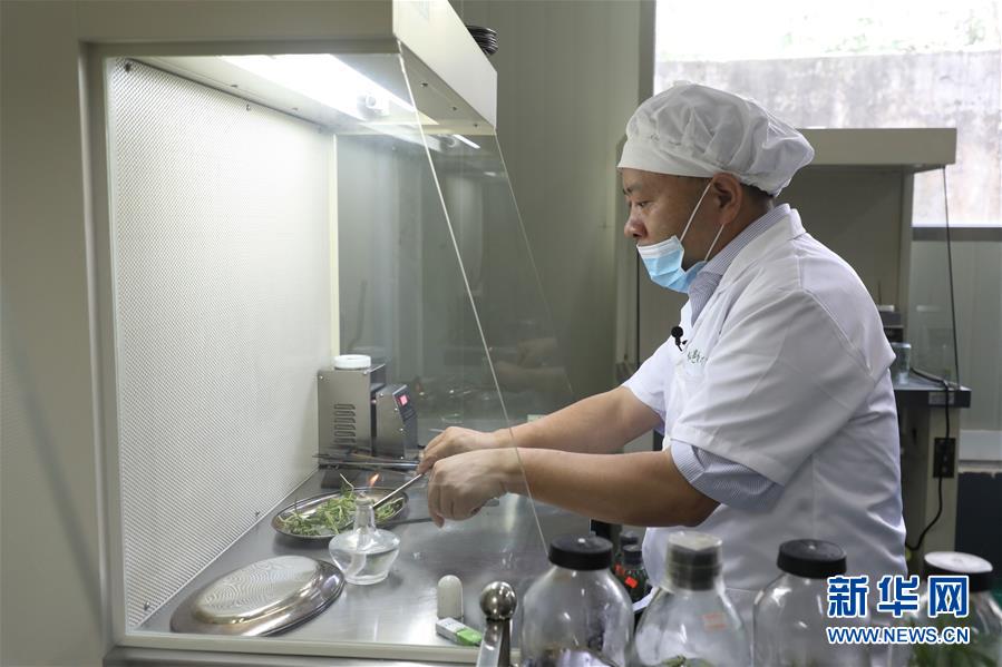 (在習(xí)近平新時(shí)代中國特色社會主義思想指引下——新時(shí)代新作為新篇章·總書記關(guān)心的百姓身邊事·圖文互動)(5)“科技秀才”給田野帶來新希望