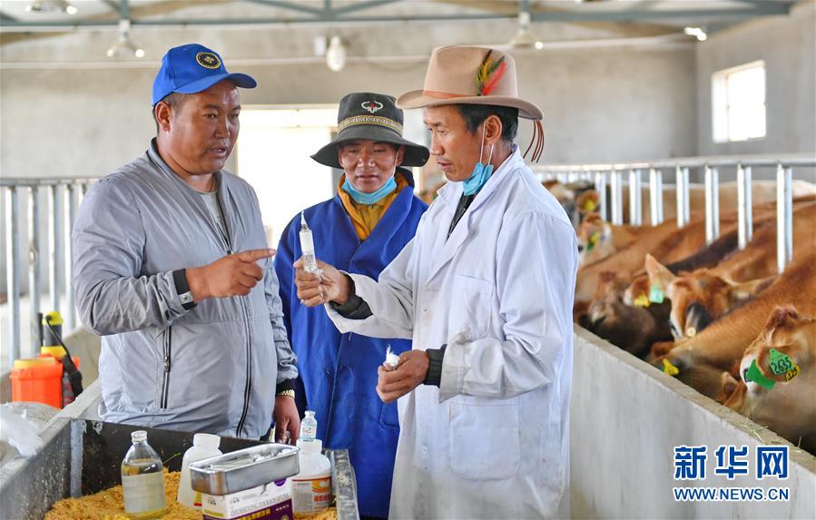 (新華全媒頭條·決戰(zhàn)決勝脫貧攻堅·圖文互動)(4)歷史的決戰(zhàn) 偉大的創(chuàng)舉——“世界屋脊”上的反貧困奇跡