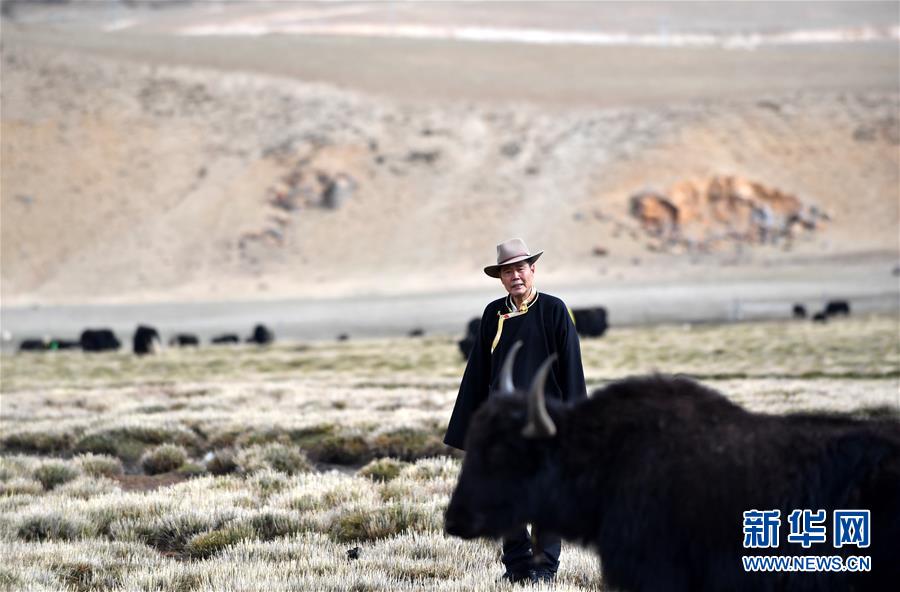 (新華全媒頭條·圖文互動)(1)“老牦牛”亞格博的西藏情緣——記北京援藏干部吳雨初