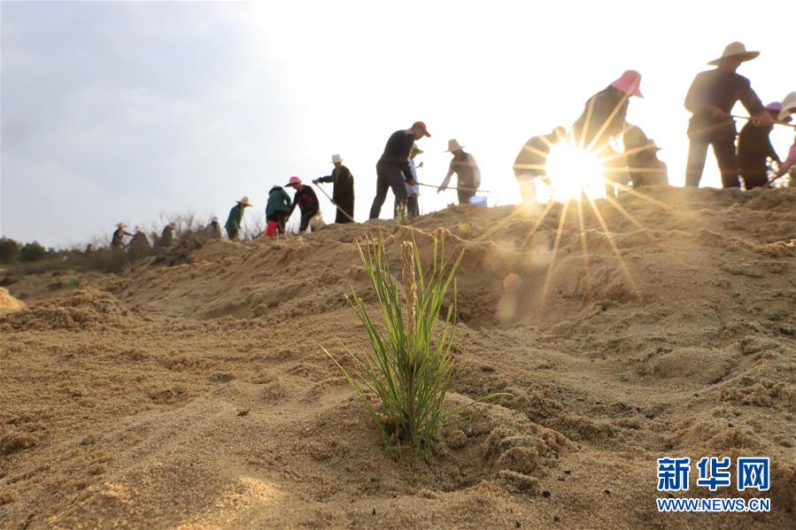(在習(xí)近平新時(shí)代中國(guó)特色社會(huì)主義思想指引下——新時(shí)代新作為新篇章·總書(shū)記關(guān)切高質(zhì)量發(fā)展·圖文互動(dòng))(4)在藍(lán)天白云下——污染防治攻堅(jiān)戰(zhàn)持續(xù)推進(jìn)