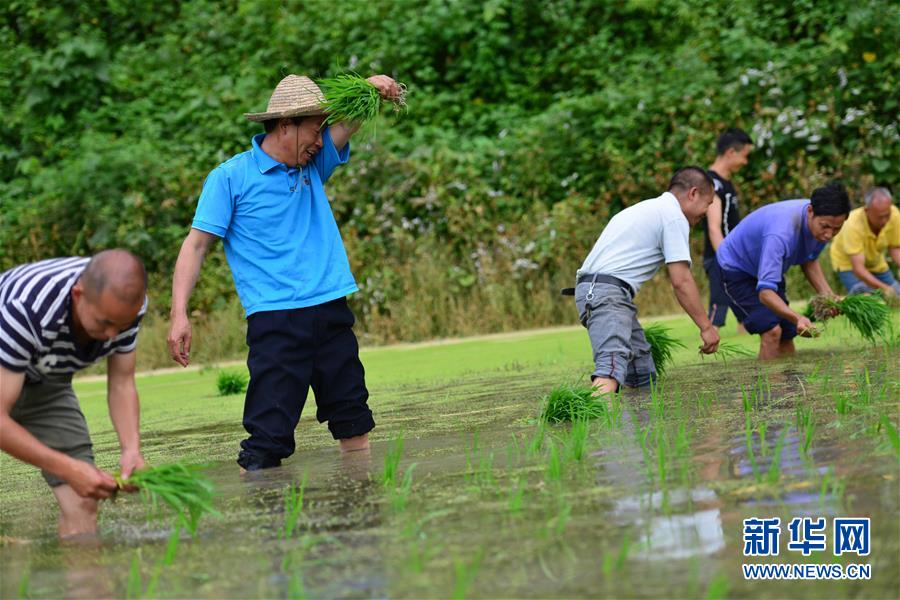 （新華全媒頭條·圖文互動(dòng)）（8）干部去哪兒了？——貴州干部大規(guī)模下沉脫貧攻堅(jiān)一線紀(jì)實(shí)