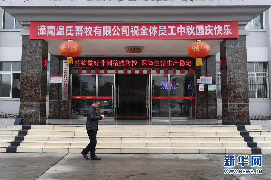 （在習(xí)近平新時(shí)代中國特色社會主義思想指引下——新時(shí)代新作為新篇章·總書記關(guān)切高質(zhì)量發(fā)展·圖文互動）（1）穩(wěn)住“一頭豬”、供好“一袋米”、配好“一籃菜