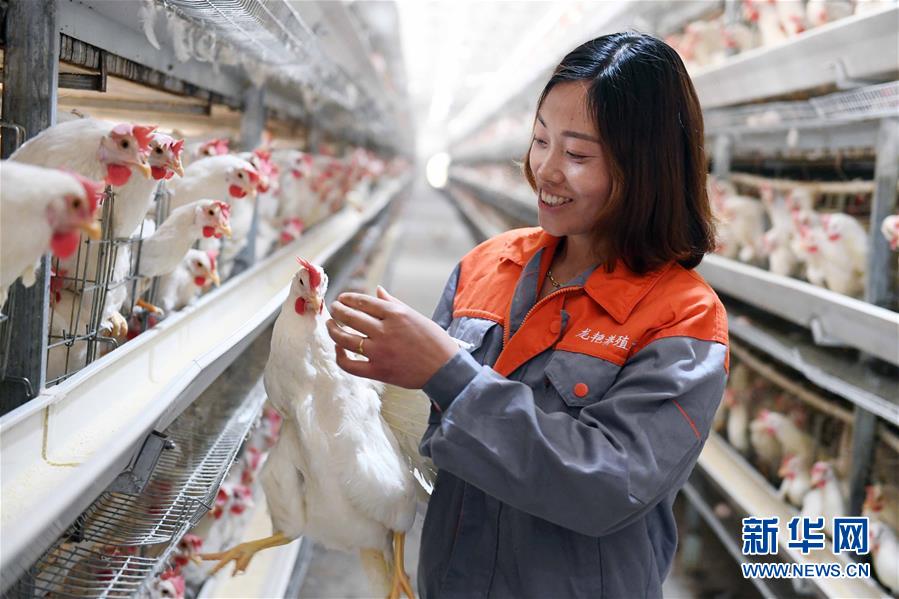 (新華全媒頭條·兩會特別報道·圖文互動)(6)在推進(jìn)高質(zhì)量發(fā)展中創(chuàng)造廣闊空間——從全國兩會看奮進(jìn)中國的發(fā)展機(jī)遇