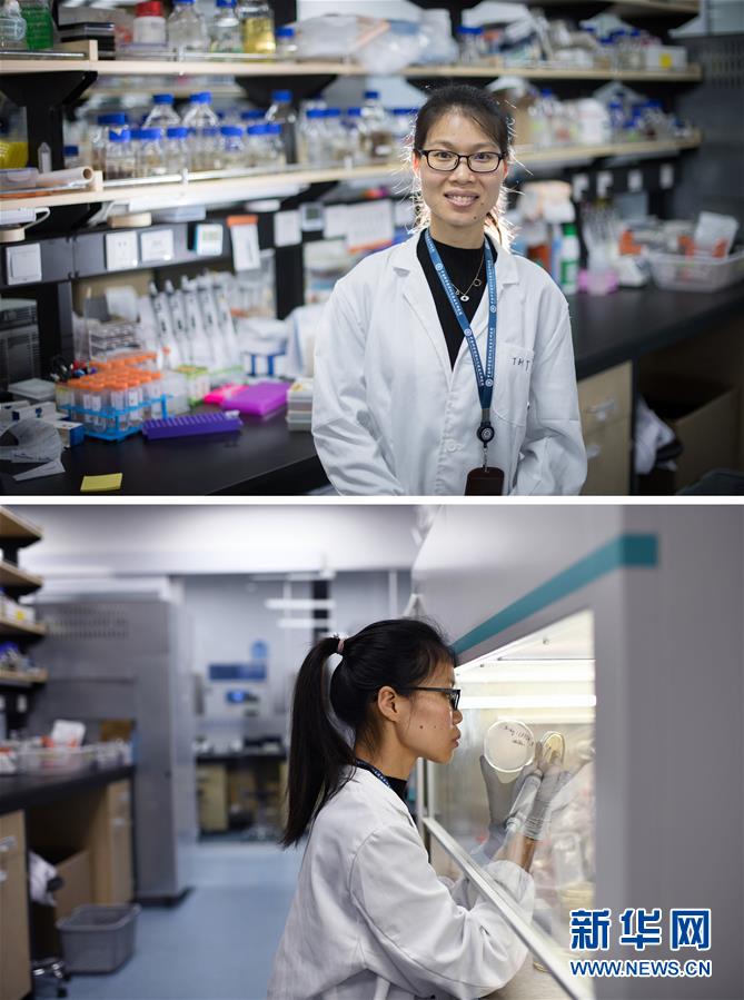 (新華全媒頭條·圖文互動)(1)創(chuàng)造中華民族的偉大歷史時(shí)間——寫在農(nóng)歷庚子鼠年春節(jié)到來之際