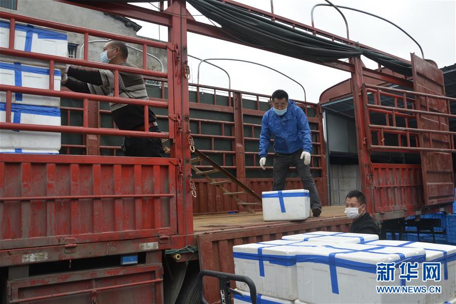 (做好六穩(wěn)工作 應(yīng)對(duì)復(fù)雜局面·圖文互動(dòng))(3)穩(wěn)住“菜籃子” 守住“好日子”