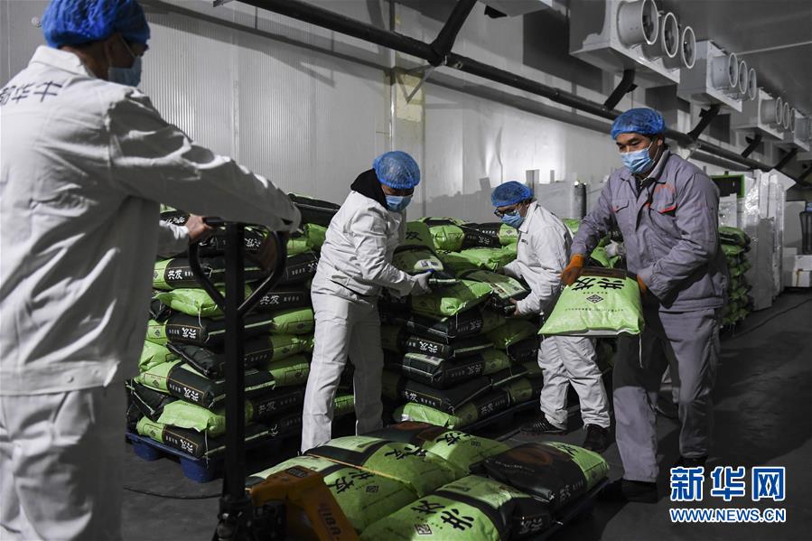 (抓好經(jīng)濟發(fā)展 應(yīng)對復(fù)雜局面·圖文互動)(1)“一企一策”解難題 大項目按下“加速器”——廣西精準(zhǔn)有序推動項目開工復(fù)工