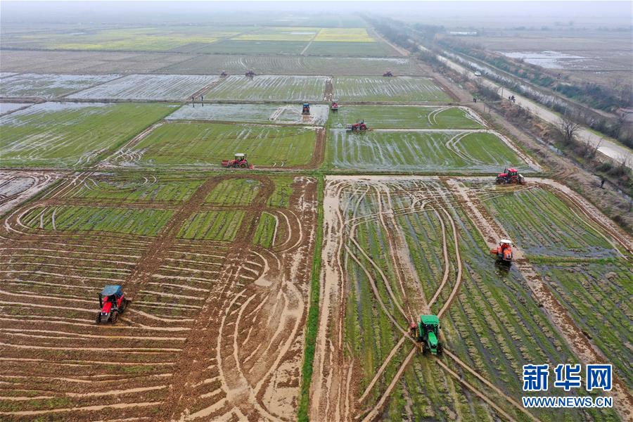 （抓好春耕備耕 穩(wěn)住農(nóng)業(yè)生產(chǎn)·圖文互動）（2）智能農(nóng)機、“訂單”服務、“云端”種菜——來自江西的春耕“新事”