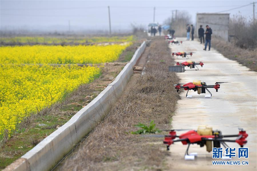 （抓好春耕備耕 穩(wěn)住農(nóng)業(yè)生產(chǎn)·圖文互動）（4）智能農(nóng)機、“訂單”服務、“云端”種菜——來自江西的春耕“新事”