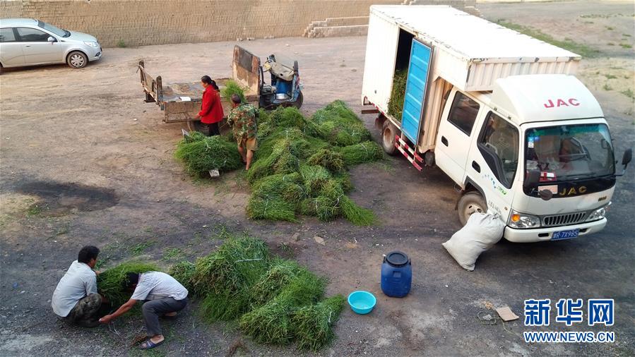 (決戰(zhàn)決勝脫貧攻堅·圖文互動)(2)三訪長征村