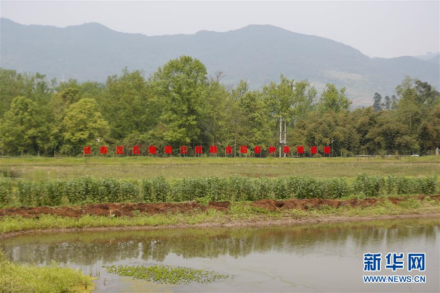 (圖文互動)(2)疏通產(chǎn)業(yè)鏈堵點 保障“菜籃子”供應(yīng)——重慶養(yǎng)殖大區(qū)力促養(yǎng)殖業(yè)補損復(fù)產(chǎn)