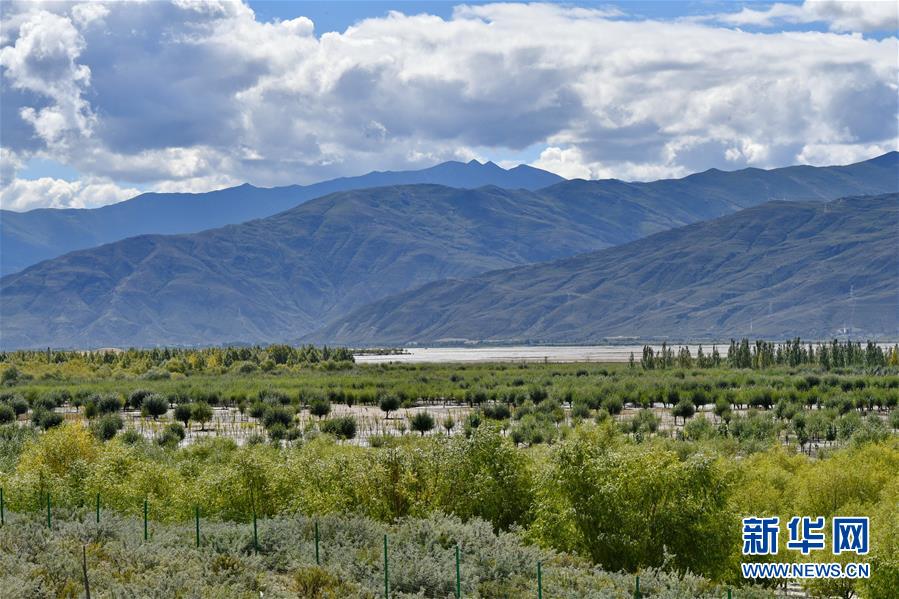 （圖文互動）（4）“今天的生活，就像夢里夢到那樣甜”——寫在西藏百萬農(nóng)奴解放61周年之際