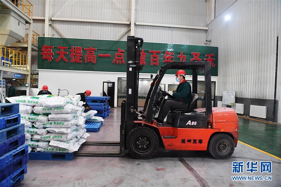 (抓好春耕備耕 穩(wěn)住農(nóng)業(yè)生產(chǎn)·圖文互動)(1)走向泥土是我們的終極夢想——一粒種子的自述