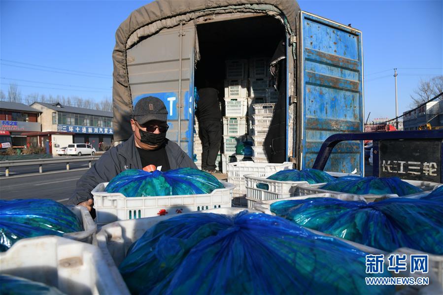 (在習(xí)近平新時代中國特色社會主義思想指引下——新時代新作為新篇章·習(xí)近平總書記關(guān)切事·圖文互動)(3)抗疫之下 保供無憂