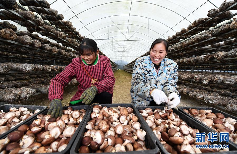 (決戰(zhàn)決勝脫貧攻堅(jiān)·圖文互動(dòng))(1)多重保障 不漏一人——貴州一個(gè)脫貧“摘帽”縣的防貧機(jī)制探索