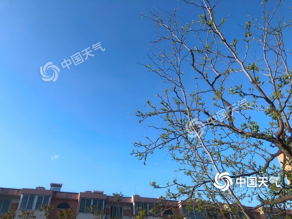 陣風(fēng)8級！北京遭遇雨后大降溫 北風(fēng)勁吹需添衣