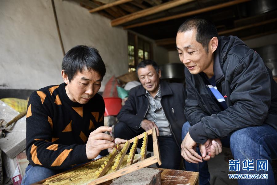 (決戰(zhàn)決勝脫貧攻堅(jiān)·圖文互動(dòng))(3)一位農(nóng)民的產(chǎn)業(yè)扶貧成績(jī)單