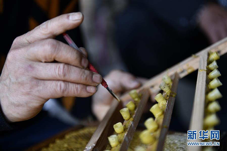 (決戰(zhàn)決勝脫貧攻堅(jiān)·圖文互動(dòng))(4)一位農(nóng)民的產(chǎn)業(yè)扶貧成績(jī)單