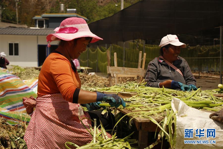 (在習(xí)近平新時代中國特色社會主義思想指引下——新時代新作為新篇章·習(xí)近平總書記關(guān)切事·圖文互動)(4)啃下最后的硬骨頭——脫貧攻堅掛牌督戰(zhàn)進(jìn)行時