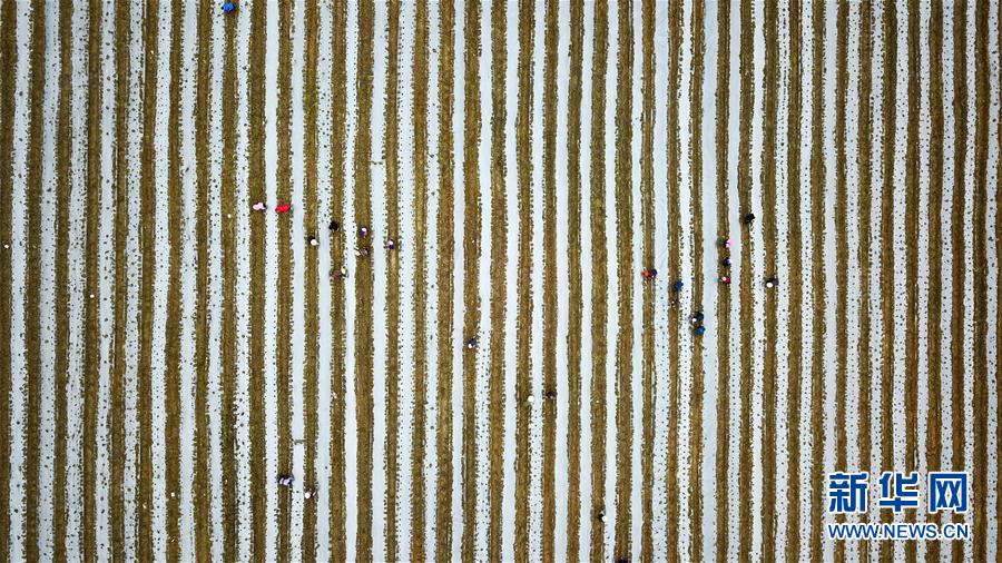 (在習(xí)近平新時代中國特色社會主義思想指引下——新時代新作為新篇章·習(xí)近平總書記關(guān)切事·圖文互動)(6)啃下最后的硬骨頭——脫貧攻堅掛牌督戰(zhàn)進(jìn)行時