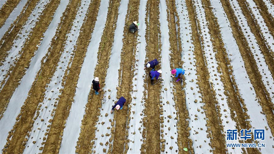(在習(xí)近平新時代中國特色社會主義思想指引下——新時代新作為新篇章·習(xí)近平總書記關(guān)切事·圖文互動)(8)啃下最后的硬骨頭——脫貧攻堅掛牌督戰(zhàn)進(jìn)行時