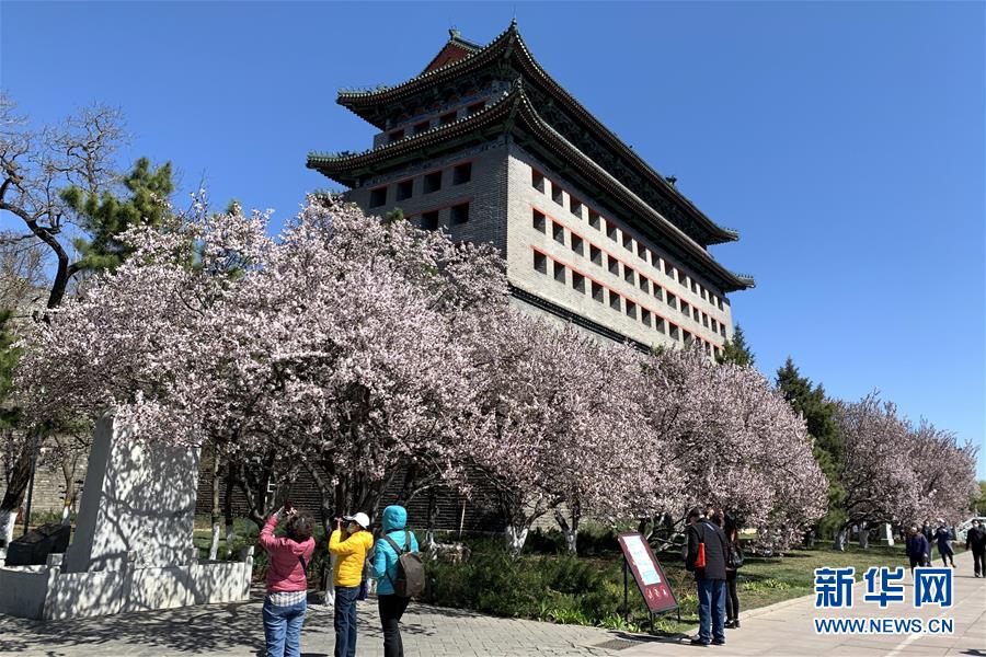 （新華全媒頭條·圖文互動(dòng)）（5）永遠(yuǎn)的夢(mèng)想 永恒的追求——寫在北京世園會(huì)開(kāi)幕一周年之際