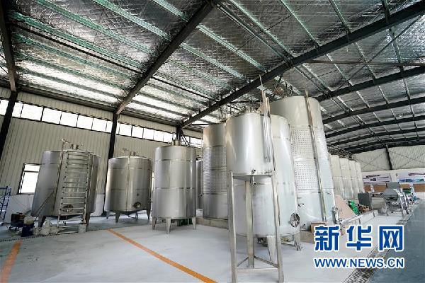 (決戰(zhàn)決勝脫貧攻堅·圖文互動)(5)西藏昌都“甜蜜”產(chǎn)業(yè)助脫貧